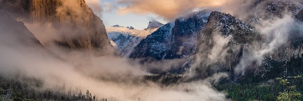 Stany Zjednoczone, Drzewa, Yosemite Valley, Mgła, Góry, Kalifornia, Park Narodowy Yosemite