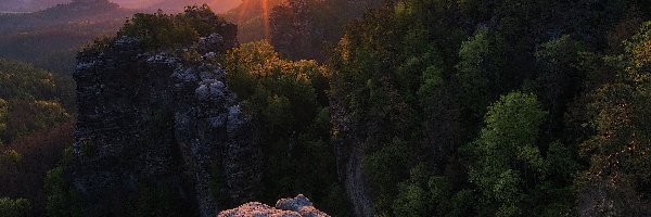 Skały, Góry Połabskie, Drzewa, Wschód słońca, Park Narodowy Saskiej Szwajcarii, Niemcy