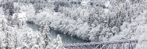 Most, Zima, Tadami River Bridge, Las, Japonia, Drzewa, Tadami River, Fukushima, Rzeka, Śnieg, Mishima
