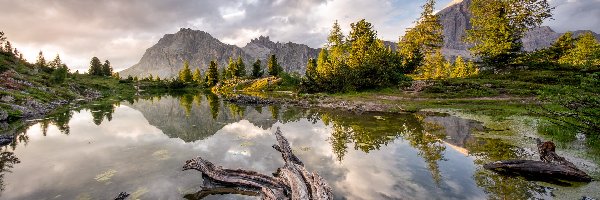 Lago Limides, Dolomity, Włochy, Tyrol, Jezioro, Chmury, Drzewa, Góry