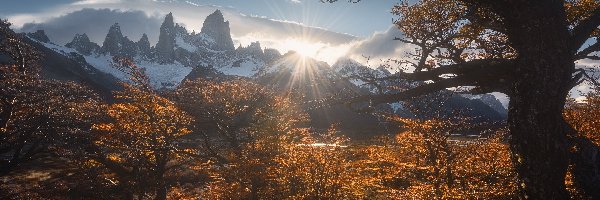 Jesień, Patagonia, Chmury, Krzewy, Szczyt, Fitz Roy, Drzewa, Argentyna, Góry, Promienie słońca