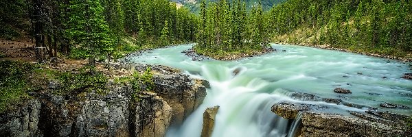 Sunwapta, Rzeka, Wodospad, Skały, Drzewa, Kanada, Alberta, Sunwapta Falls, Park Narodowy Jasper