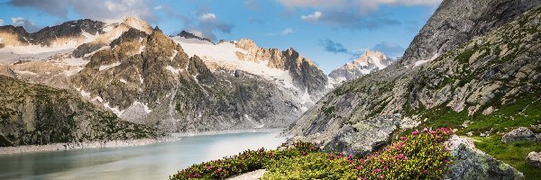 Albigna Lake, Chmury, Szwajcaria, Rośliny, Jezioro, Skały, Kwiaty, Góry