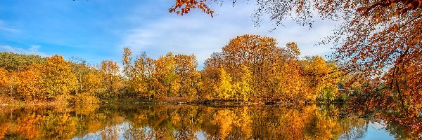 Jezioro, Drzewa, Pożółkłe, Jesień