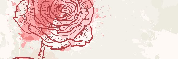Grafika 2D, Tło, Jasne, Róża