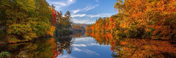 Jesień, Las, Jezioro, Drzewa, Północna Karolina, Stany Zjednoczone