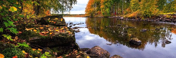 Rzeka, Jesień, Drzewa, Liście, Kamienie