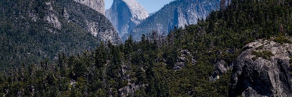 Drzewa, Skały, Szczyt, Sierra Nevada, Góry, Stany Zjednoczone, Kalifornia, Half Dome, Park Narodowy Yosemite