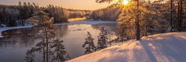 Promienie słońca, Las, Drzewa, Finlandia, Rzeka Kymijoki, Zima