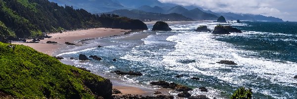 Cannon Beach, Drzewa, Stany Zjednoczone, Park stanowy Ecola, Skały, Rośliny, Plaża, Morze, Góry, Oregon