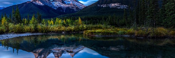 Trzy siostry, Kanada, Drzewa, Park Narodowy Banff, Odbicie, Góry, Szczyty, Roślinność, Skaliste, Prowincja Alberta, Jezioro