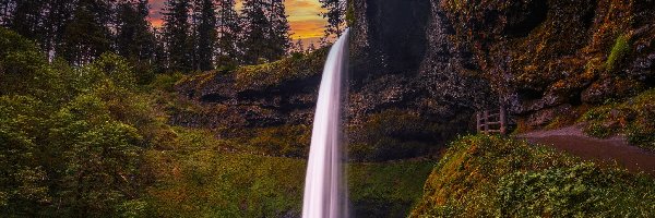 Drzewa, Park stanowy, Silver Falls State Park, Oregon, Stany Zjednoczone, South Falls, Wodospad