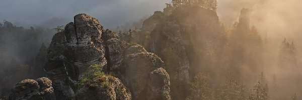 Drzewa, Hruboskalsko, Czechy, Góry Stołowe, Skały, Mgła, Czeski Raj, Formacje skalne