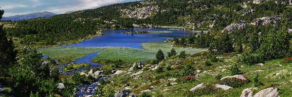 Lac des Bouillouses, Pireneje, Francja, Drzewa, Jezioro, Rzeka, Kamienie, Góry
