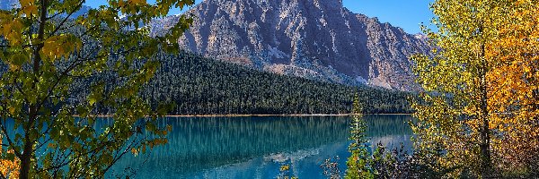 Jezioro, Prowincja Alberta, Drzewa, Mount Chephren, Park Narodowy Banff, Waterfowl Lake, Góra, Kanada