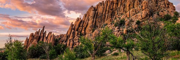 Drzewa, Point of Rocks, Stany Zjednoczone, Arizona, Droga, Szlak Peavine Trail, Prescott, Skały