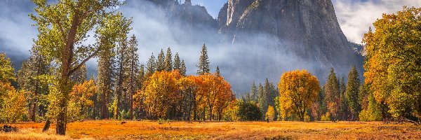 Drzewa, Góry, Stany Zjednoczone, Kalifornia, Skały, Mgła, Jesień, Park Narodowy Yosemite