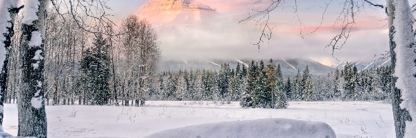 Góra, Kanada, Pilot Mountain, Park Narodowy Banff, Chmury, Zima, Mgła, Drzewa, Góry, Alberta, Mgła