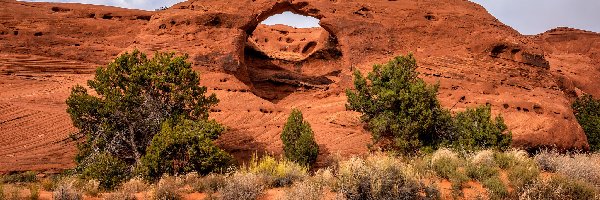 Formacja skalna, Skały, Dolina, Arizona, Stany Zjednoczone, Krzewy, Drzewa, Monument Valley, Honeymoon Arch