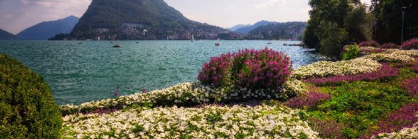 Parco Ciani, Góry, Alpy, Szwajcaria, Jezioro Lugano, Kwiaty