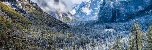 Formacja skalna, Góry, Stany Zjednoczone, Kalifornia, Drzewa, El Capitan, Park Narodowy Yosemite, Zima