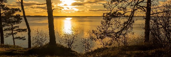 Morze Bałtyckie, Drzewa, Wyspa Uznam, Zachód słońca