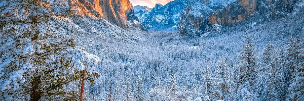 Drzewa, Park Narodowy Yosemite, Skały, Zima, Yosemite Valley, Góra, El Capitan, Stany Zjednoczone, Dolina, Ośnieżone
