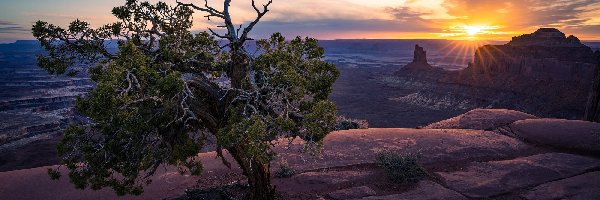 Zachód słońca, Monument Valley, Dolina Pomników, Wyżyna Kolorado, Stany Zjednoczone, Drzewo, Skały