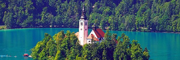 Drzewa, Blejski Otok, Kościół Zwiastowania Marii Panny, Wyspa, Słowenia, Lasy, Jezioro Bled