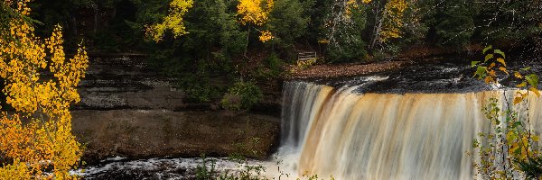 Stan Michigan, Wodospad, Tahquamenon Falls, Stany Zjednoczone, Drzewa, Jesień