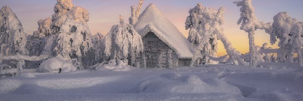 Zaspy, Dom, Drzewa, Śnieg, Ośnieżony, Zima
