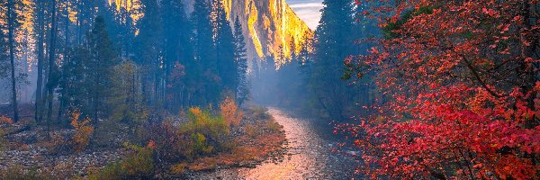 Jesień, Kalifornia, Góry, Drzewa, Park Narodowy Yosemite, Rzeka Merced, Mgła, Stany Zjednoczone