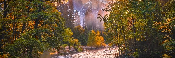Drzewa, Park Narodowy Yosemite, Las, Szczyt, Stany Zjednoczone, Half Dome, Merced River, Kalifornia, Rzeka, Góry, Jesień