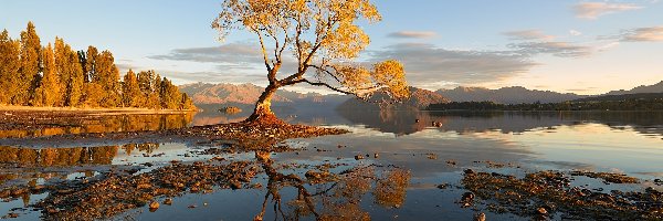 Jezioro Wanaka, Góry, Drzewa, Nowa Zelandia, Jesień