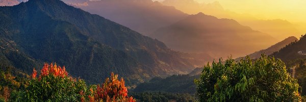 Roślinność, Góry, Himalaje, Nepal, Azja, Wschód słońca, Szczyt Annapurna