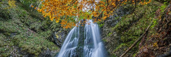 Liście, Drzewa, Las, Josefsthaler Waterfalls, Wodospad, Niemcy, Bawaria, Skały, Jesień