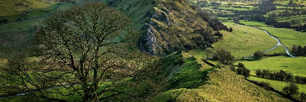 Wschód słońca, Wzgórze, Parkhouse Hill, Anglia, Drzewo, Park Narodowy Peak District