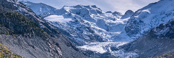 Morteratsch Glacier, Alpy, Lodowiec, Drzewa, Góry, Szwajcaria