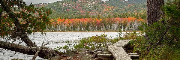 Kładka, Drzewa, Jezioro, Góry, Porośnięte, Stany Zjednoczone, Stan Maine, Upper Hadlock Lake, Park Narodowy Acadia