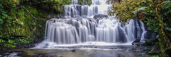 Nowa Zelandia, Purakaunui Falls, Drzewa, Wodospad, Las, Catlins, Skała