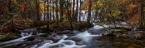 Jesień, Wodospad, Drzewa, Rzeka, Kaskada
