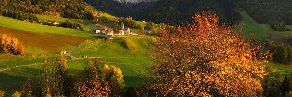 Drzewa, Dolomity, Włochy, Dolina Val di Funes, Santa Maddalena, Kościół, Domy, Góry, Wieś, Jesień