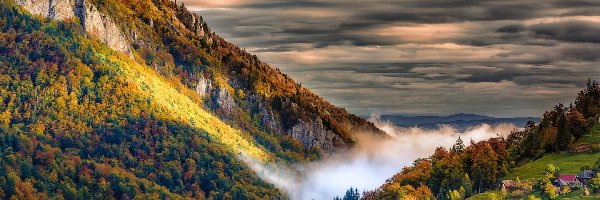 Dolina, Drzewa, Lasy, Góry, Jesień, Chmury, Domy, Kolorowe, Mgła