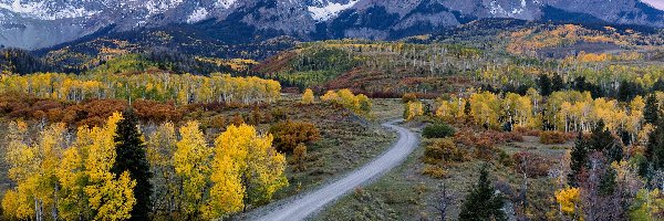 Jesień, Góry, San Juan Mountains, Droga, Kolorado, Stany Zjednoczone