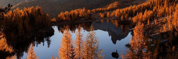 Jesień, Federa Lake, Włochy, Modrzewie, Dolomity, Pożółkłe, Drzewa, Jezioro, Góry, Prowinca Belluno