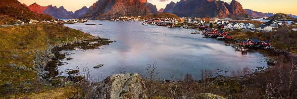 Wioska Reine, Lofoty, Drzewa, Góry, Wyspa Moskenesoya, Morze Norweskie Skały, Domy, Norwegia