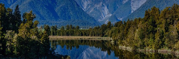 Nowa Zelandia, Jezioro, Odbicie, Góry, Las, Alpy Południowe, Jezioro Matheson