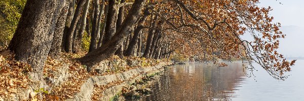 Jesień, Jezioro Kastoria, Drzewa, Grecja, Kastoria