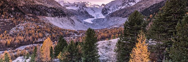 Jesień, Drzewa, Lodowiec Morteratsch, Alpy, Góry, Szwajcaria, Kanton Gryzonia, Kamienie, Dolina Morteratsch