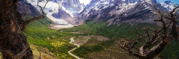 Fitz Roy, Góry, Ośnieżone, Drzewa, Patagonia, Argentyna